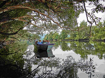Daintree Boatman Wildlife Cruises